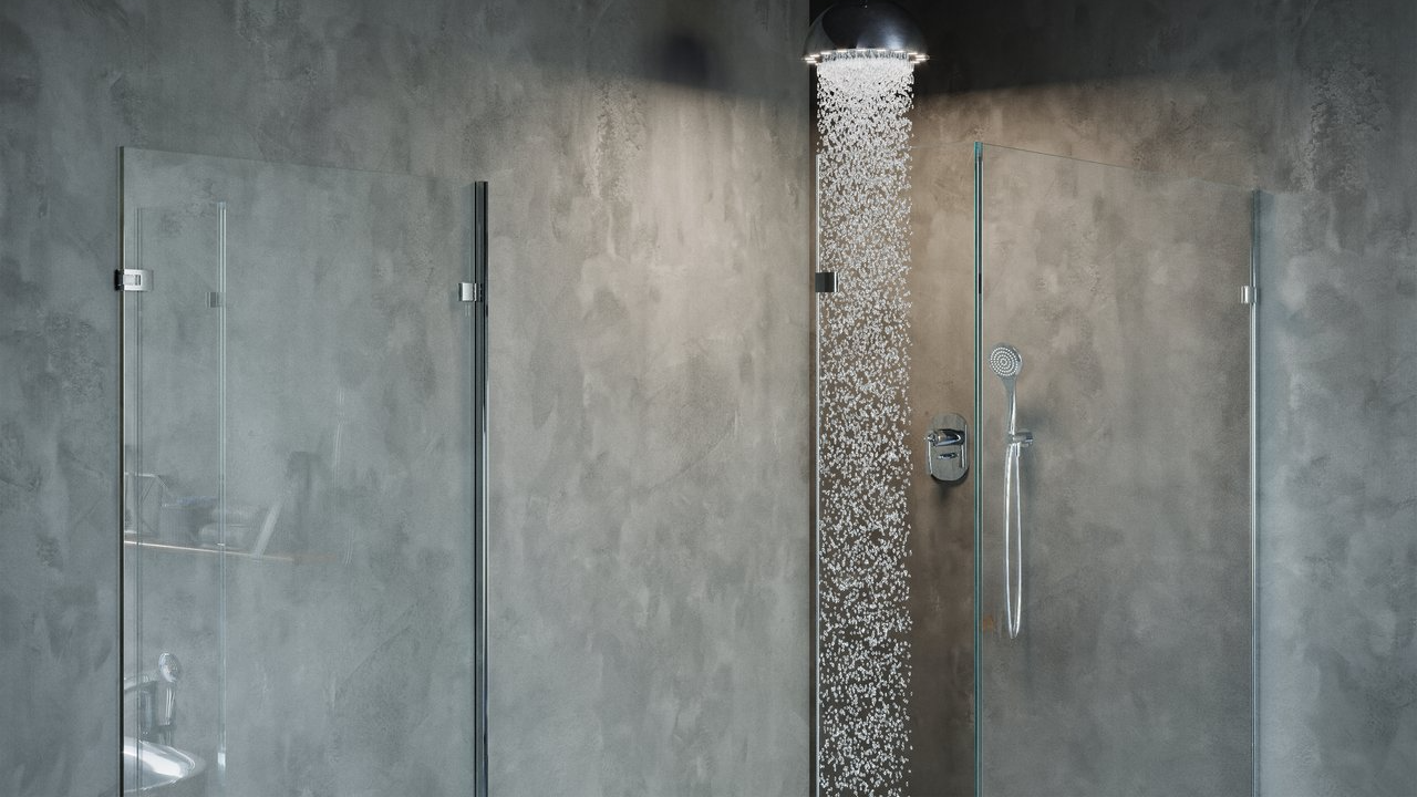 Frameless Shower Door
