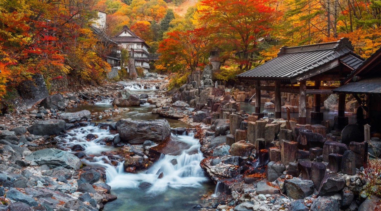 Japanese Natura Springs
